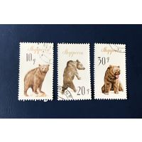 Албания 1965 год Фауна Животные Медведь Серия 3 марки Mi:1010-1012 Гашеные