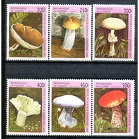 Гвинея - 1996г. - Грибы - полная серия, MNH [Mi 1610-1615] - 6 марок