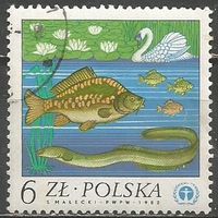 Польша. Лебедь-щипун. Рыбы. 1983г. Mi#2851.