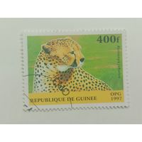 Гвинея 1997. Млекопитающие