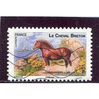 Франция. Бретонская лошадь