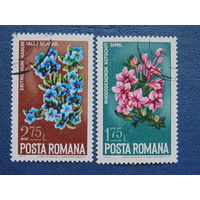 Румыния 1974 г. Цветы.