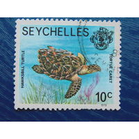 Сейшельские острова 1979 г. Фауна.