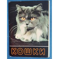 Набор открыток "Кошки" Вып. 2. 1991 г.  17 из 18 откр.