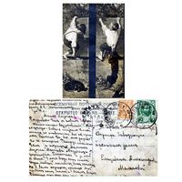 Открытка, Почтовая карточка, до 1917г,   прошедешая почту