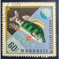 Монголия 1974 рыбы 1 из 7.