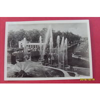 Петродворец Вид на "Аллею фонтанов" 1954 год