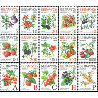 Седьмой стандартный выпуск (9 и 13 февраля) Беларусь 2004 год (538-552) серия из 15 марок