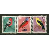 Фауна. Птицы. 1965. Серия 3 марки
