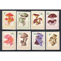 Грибы Болгария 1961 год серия из 8 б/з марок