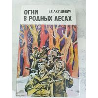 Огни в родных лесах. ВОЕННЫЕ МЕМУАРЫ. ПАРТИЗАНЫ. 1987