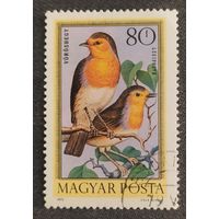 Венгрия 1973, птицы