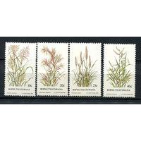 Бопутатсивана (Южная Африка) - 1984 - Травы - [Mi. 116-119] - полная серия - 4 марки. MNH.