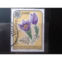 Австрия 1986 Европа, природа, цветы