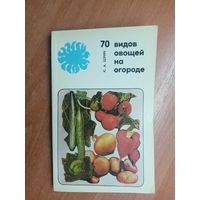 Константин Шуин "70 видов овощей на огороде"