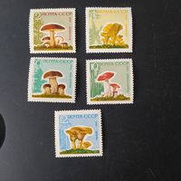 СССР 1964 грибы, лак.