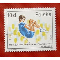 Польша. Спорт. ( 1 марка ) 1987 года. 2-2.