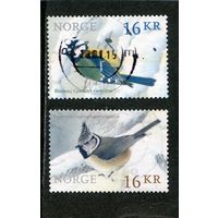 Норвегия. Птицы. Обыкновенная синица, хохлатая синица