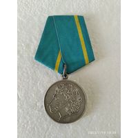 Медаль России Пушкина РФ копия