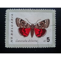 Болгария 1962 бабочка