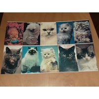 Календарики 1990 Кошки. Коты. Полная серия 10 шт. одним лотом