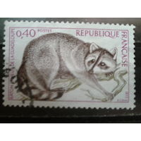 Франция 1973 фауна