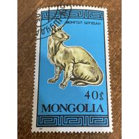 Монголия 1987. Породы домашних кошек. Марка из серии