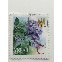Украина 2003-2006. Шестой выпуск стандартных марок