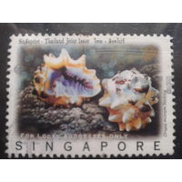 Сингапур, 1997. Морские улитки