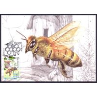 Беларусь 2020 пчела медоносная картмаксимум
