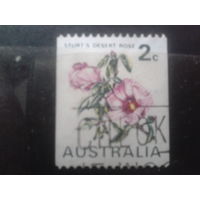 Австралия 1971 Цветы Розы пустыни