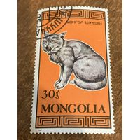 Монголия 1987. Породы домашних кошек. Марка из серии