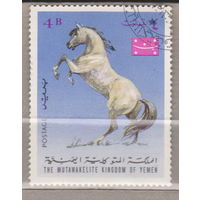 Лошади фауна Арабские лошади Йемен 1967 год лот 2