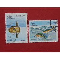 Куба 1981г. Морская фауна.