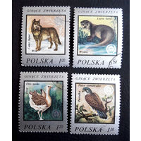 Польша 1977 г. Исчезающие виды животных. Фауна, полная серия из 4 марок #0194-Ф1