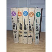 Энцыклапедыя прыроды беларусі 5 томов И. П. Шамякін 1983 год