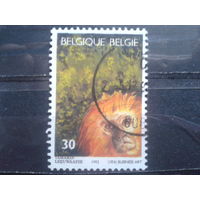 Бельгия 1992 Зоопарк в Антверпене-150 лет, лев
