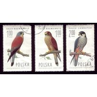 3 марки 1975 год Польша Птицы 2354-2355,2358