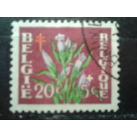 Бельгия 1950 Цветы
