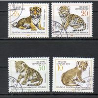 100-летие зоопарка в Лейпциге ГДР 1978 год серия из 4-х марок