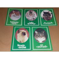 Календарики 1991 Кошки. Коты. 5 шт. одним лотом